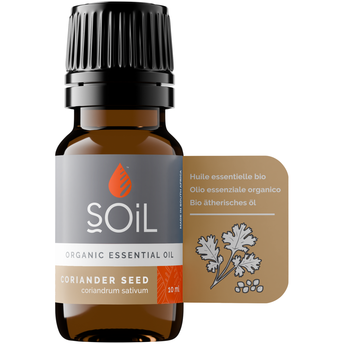 Organic Coriander Seed Essential Oil (Coriandrum Sativum) 10ml