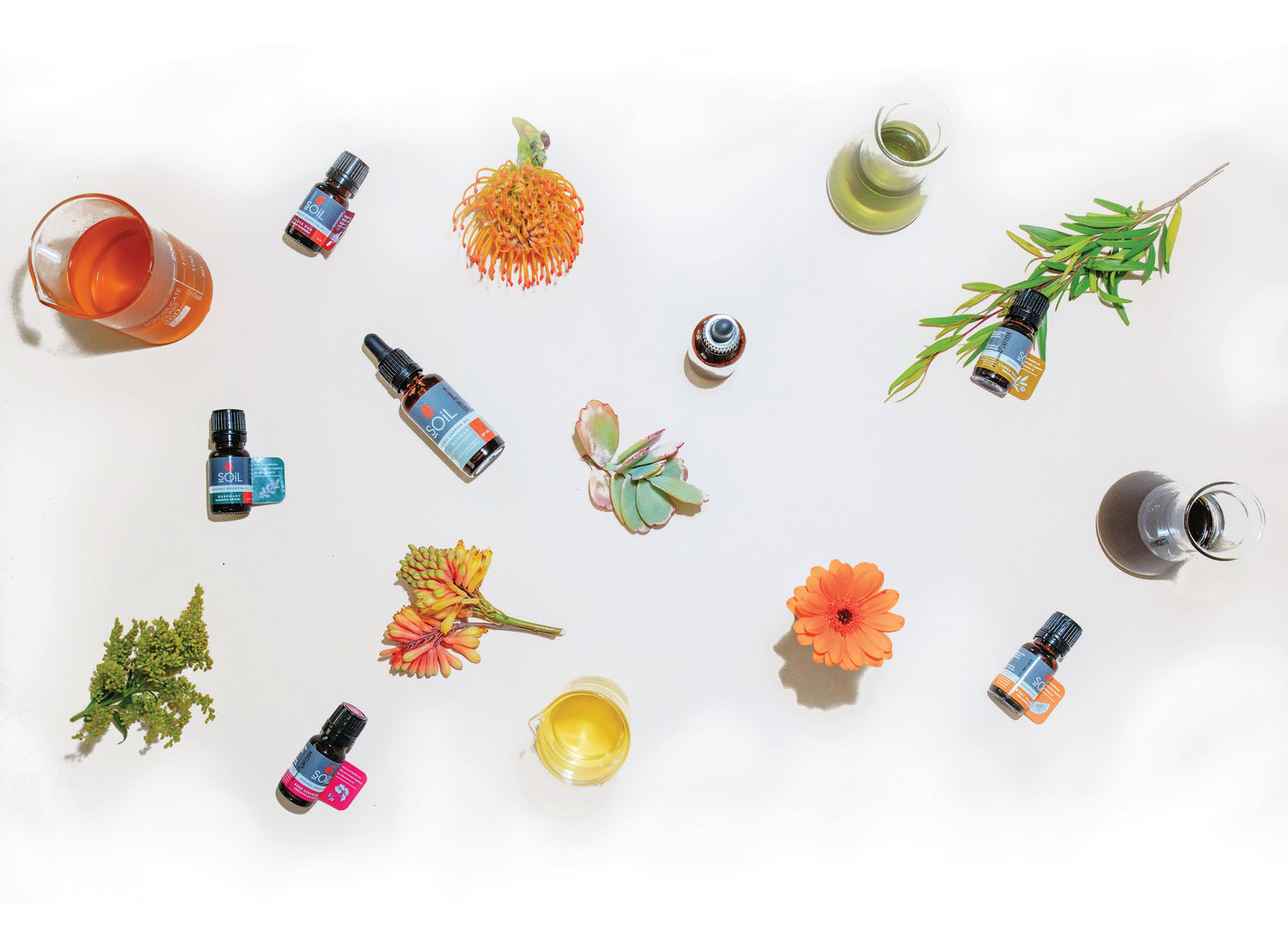 Organic Baobab Oil (Adansonia Digitata) 100ml