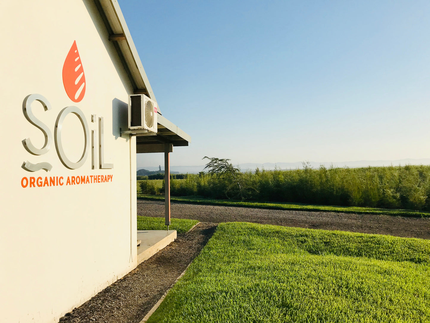 Organic Baobab Oil (Adansonia Digitata) 100ml